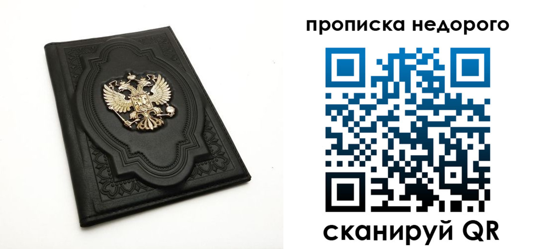 прописка для школы в Славгороде